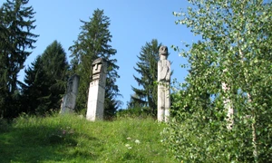 Moisei, anul de grație 2010 jpeg