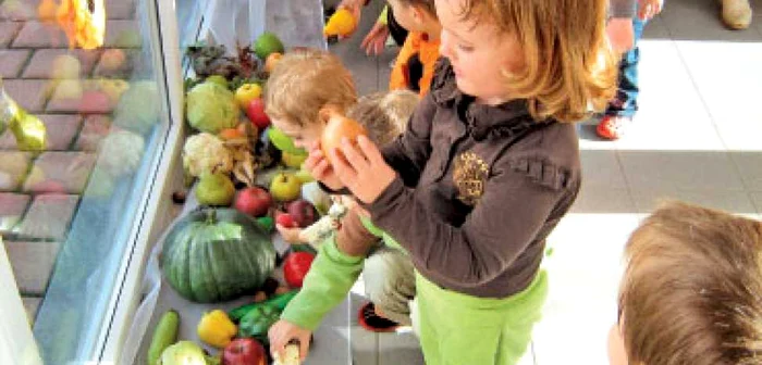Judeţ cu judeţ :Aproape 100 de persoane vor rămâne fără locuri de muncă duminică, atunci când se va închide Hipermarketul PIC din Călăraşi