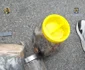cinci kilograme de droguri gasite foto diicot vrancea 3 jpeg