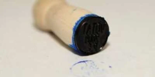 Femeia a ştampilat mai multe buletine de vot