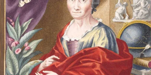 maria merian