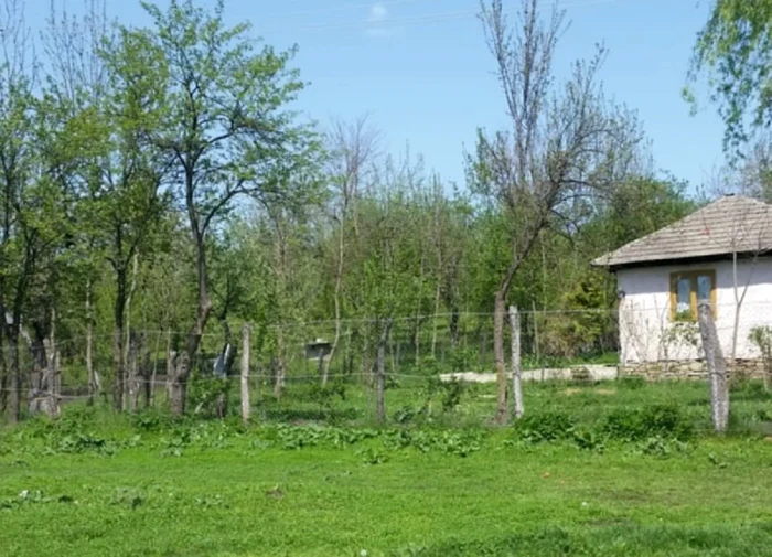 Satul Merdeala, de unde nea Ion nu s-a lăsat dus. FOTO observatorulph.ro