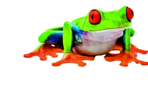 1 64379 original jpg jpeg