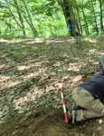 Campanie de salvare în situl arheologic de la Crivina-Leopoldsberg (© Muzeul Național al Banatului)