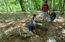 Campanie de salvare în situl arheologic de la Crivina-Leopoldsberg (© Muzeul Național al Banatului)