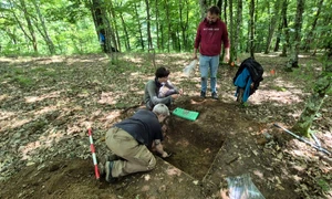 Campanie de salvare în situl arheologic de la Crivina-Leopoldsberg (© Muzeul Național al Banatului)