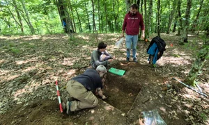 Campanie de salvare în situl arheologic de la Crivina-Leopoldsberg (© Muzeul Național al Banatului)
