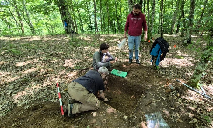 Campanie de salvare în situl arheologic de la Crivina-Leopoldsberg (© Muzeul Național al Banatului)