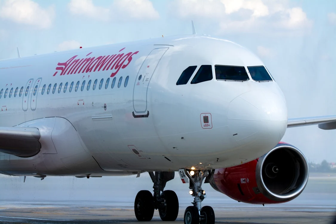 Avion Anima Wings