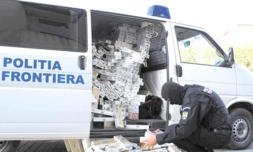 tigari de contrabanda 1 newscluj ro  jpeg