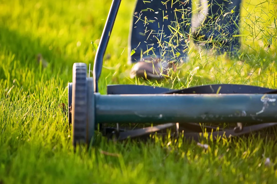 Gazon întreținut cu o mașină de tuns iarba Foto Better Homes & Gardens Australia jpg