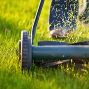 Gazon întreținut cu o mașină de tuns iarba Foto Better Homes & Gardens Australia jpg