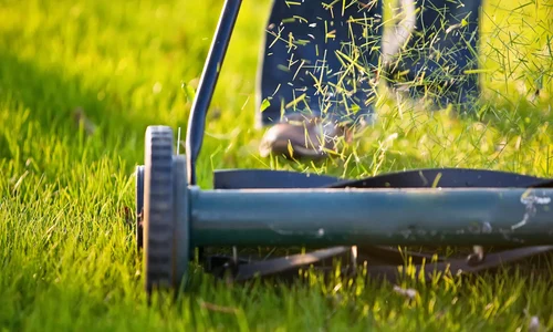 Gazon întreținut cu o mașină de tuns iarba Foto Better Homes & Gardens Australia jpg