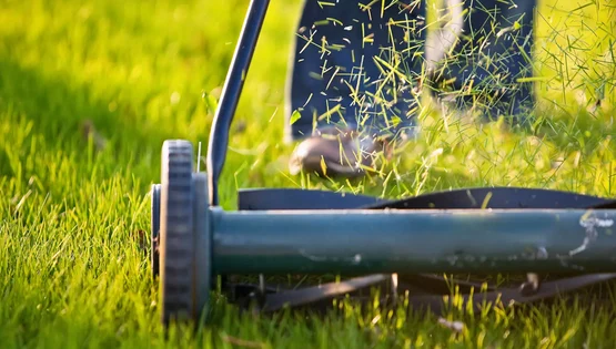 Gazon întreținut cu o mașină de tuns iarba Foto Better Homes & Gardens Australia jpg