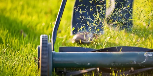 Gazon întreținut cu o mașină de tuns iarba Foto Better Homes & Gardens Australia jpg