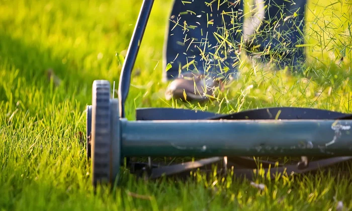 Gazon întreținut cu o mașină de tuns iarba Foto Better Homes & Gardens Australia jpg