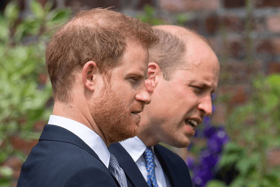 Violență regală. Prințul Harry susține că a fost bătut de William în 2019: „Am zăcut acolo o vreme”