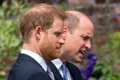 william si harry jpeg