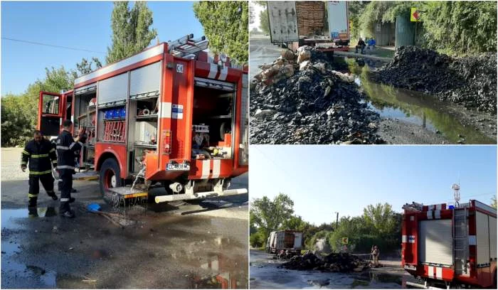 Pompierii bulgari au stins incendiul de la Ostrov Foto: observatornews.ro