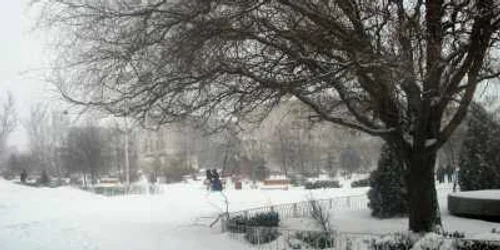 Iarna a pus stăpânire pe oraş
