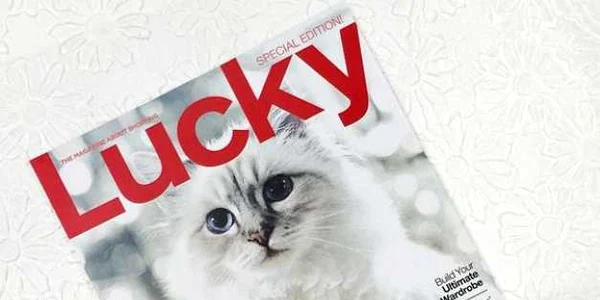 pisica Choupette Karl Lagerfeld FOTO instagram.com/choupettesdiary/
