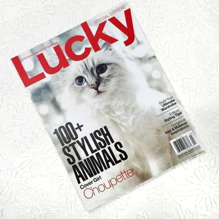 pisica Choupette Karl Lagerfeld FOTO instagram.com/choupettesdiary/