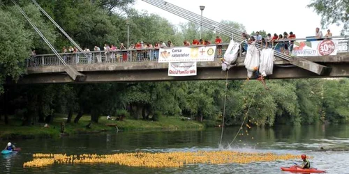 Banii strânşi din Cursa Rătuştelor au fost distribuiţi