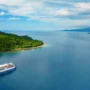 coral adventurer jpg