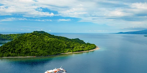 coral adventurer jpg