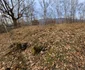 Turnul la Vămi, cetatea dacică Blidaru Foto Daniel Guță ADEVĂRUL (11) jpg