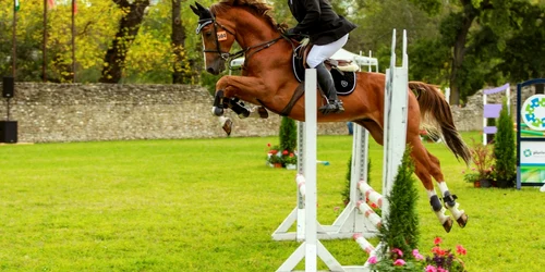 Karpathia Horse Show