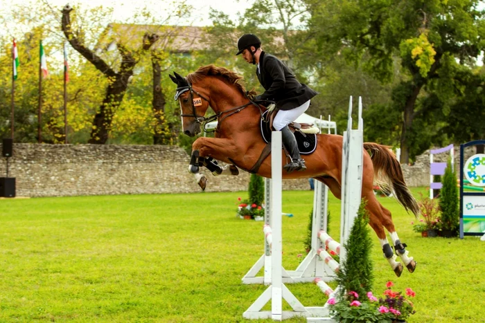 Karpathia Horse Show