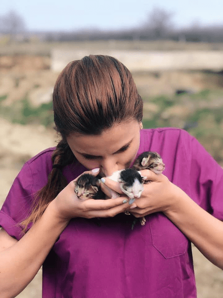 Mit despre pisici: se tem sau nu de apă. Explicațiile unui veterinar despre animalele de companie