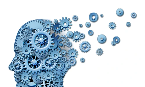 1 shutterstock 98211377 jpg jpeg