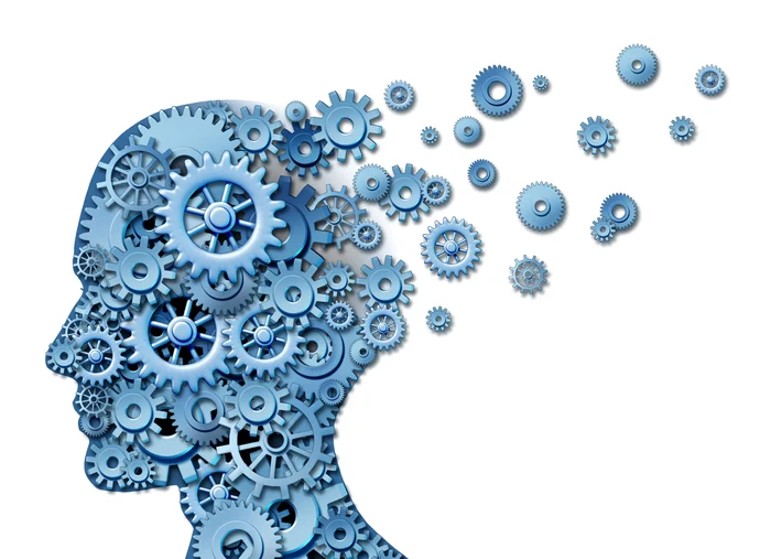 1 shutterstock 98211377 jpg jpeg