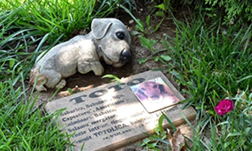 cimitir animale jpg