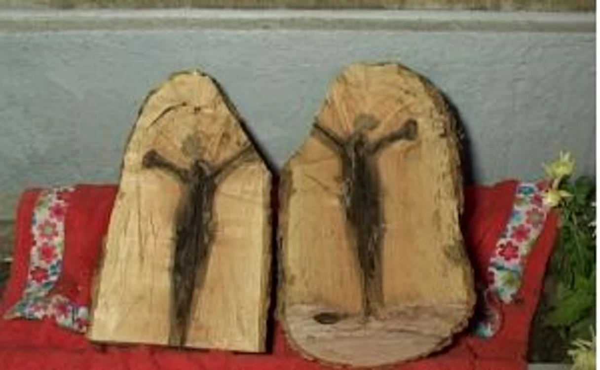 Minunea de la Sarichioi