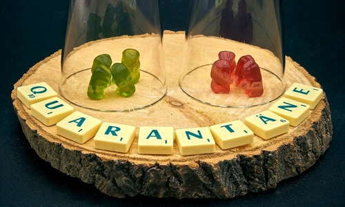 1 quarantine 4953975 1280 jpg jpeg