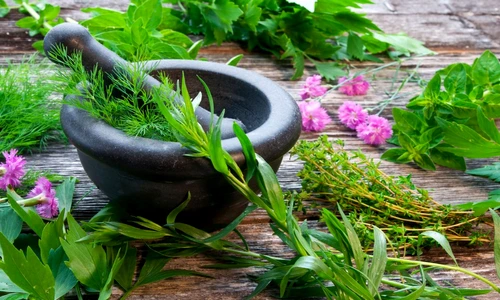 1 77264 original jpg jpeg