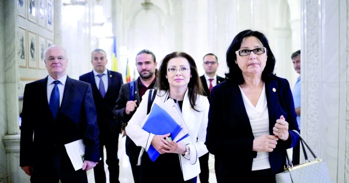Eugen Nicolicea (stânga), preşedintele Comisiei Juridice şi Steluţa Cătăniciu (dreapta), vicepreşedintele Comisiei. Foto: Mediafax