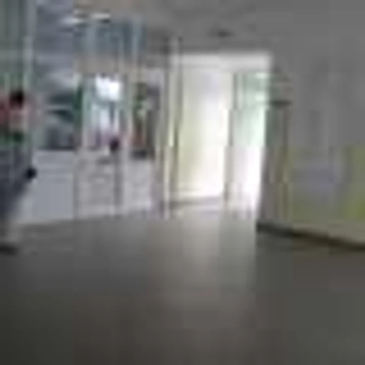 Holul unde pacienta a eliminat placenta