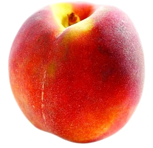 1 2 jpg jpeg