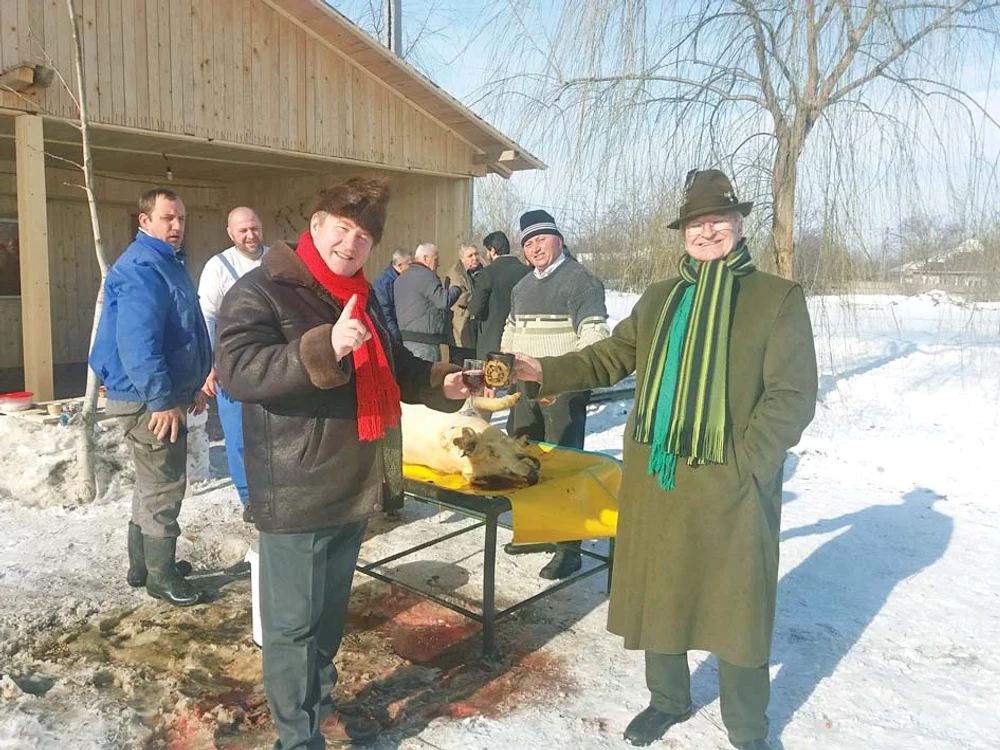 Mii de porci vor fi sacrificați preventiv din cauya pestei porcine