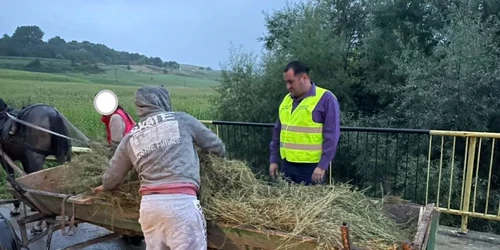 radu reziuc  furt ogoare suceava 