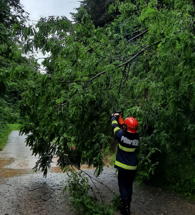 FOTO: ISU Suceava