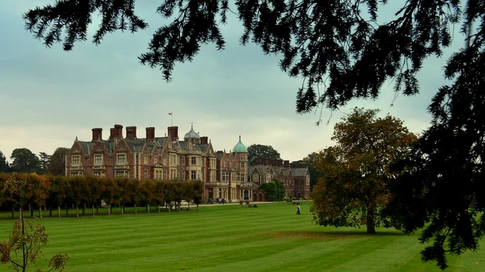 Sandringham, în fața unei invazii de șobolani/ sursa Pexels