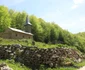 Valea Anineșului și cetatea dacică Vârful lui Hulpe Foto Daniel Guță (21) JPG