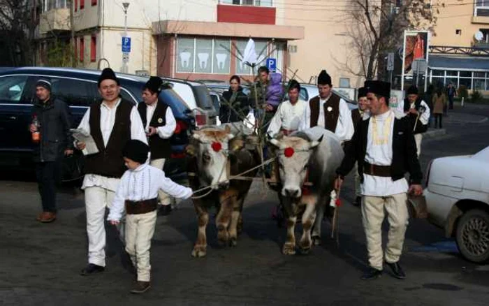 Plugarii din Nistoreşti