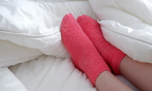 shutterstock 1688750524 jpg