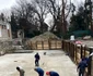 Lucrări la clinica de Balneo